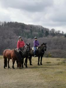 Dos personas montan caballos en un campo en Reitstation Roßmühle, en Gräfendorf