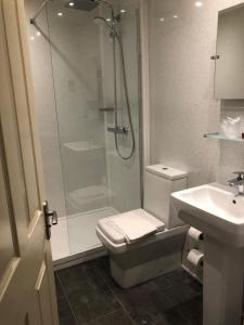 a bathroom with a shower and a toilet and a sink at The Dog & Partridge Country Inn in Ashbourne