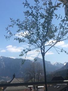 Een algemene foto van de bergen of uitzicht op de bergen vanuit het appartement