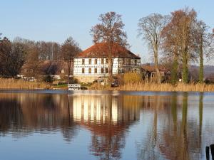 a large building sitting on the side of a lake at Drostenhaus Feldberg in Feldberg