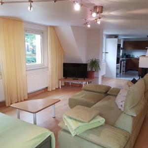 a living room with a couch and a tv at Ferienwohnung Goldene Höhe in Rechenberg-Bienenmühle