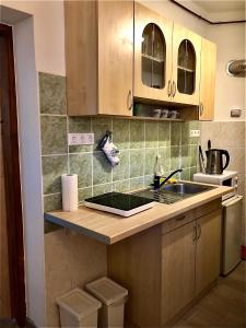 a kitchen with wooden cabinets and a sink at L&R Apartment in Győr