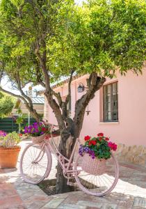 Una bicicleta estacionada junto a un árbol con flores en cestas. en Quinta Aida Cottage and B&B Suites, en Lagoa