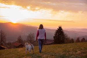 Galeriebild der Unterkunft Hunderesort Waldeck - Urlaub mit Hund - Superior in Philippsreut