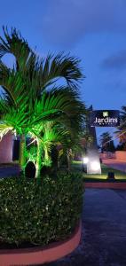 eine Gruppe von Palmen in einem Park in der Nacht in der Unterkunft Jardins Motel (Adults Only) in Maceió
