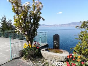 a view of a body of water with a tree and flowers at Hotel Le Léman in Saint-Gingolph