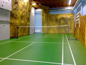 a tennis court in a room with a rock wall at Hotel Mohelnice in Mohelnice
