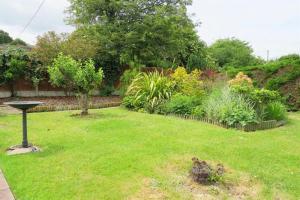 a yard with a garden with green grass and plants at Beautiful Home Near Worcester Royal Hospital in Hindlip