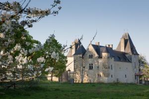 Afbeelding uit fotogalerij van Château de Bois Charmant in Les Nouillers