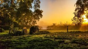 Afbeelding uit fotogalerij van Gumus Konak in Akyaka +72 foto's