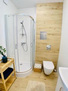 Kúpeľňa v ubytovaní Apartament Niedźwiadek