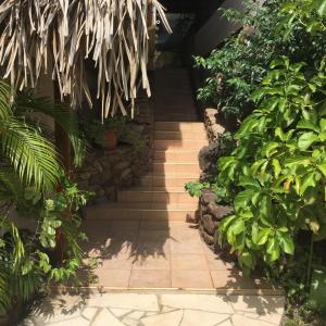 a stairway in a garden with plants at Manaeva lodge in Faaa