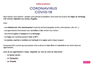 una captura de pantalla de la documentación para la consulta de romicina en APPARTEMENT LE VITAMINE - topbnb dijon, en Dijon