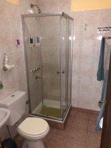 een badkamer met een douche, een toilet en een wastafel bij A un paso de todo !!! Lo de Richard in Ushuaia