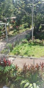 a view of a garden with a road at Hotel El Congo in Drake