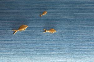 un groupe de trois oiseaux volant au-dessus de l’océan dans l'établissement Hyatt Regency Tokyo Bay, à Urayasu