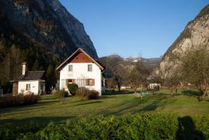 a house in a field with mountains in the background at Apartments Marie A in Hallstatt