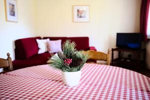 una maceta sentada sobre una mesa en Appartementhaus Habich, en Bad Kleinkirchheim