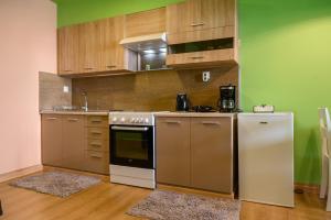 Kuchyňa alebo kuchynka v ubytovaní Marisa City Center Nafplio Apartment