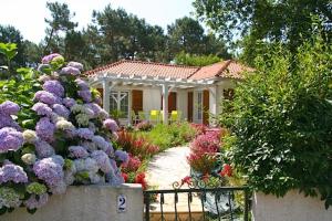Gallery image of Wonderfully landscaped garden and nice house in Lacanau