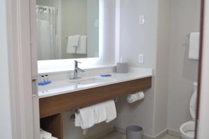 Koupelna v ubytování Holiday Inn Express Seguin by IHG