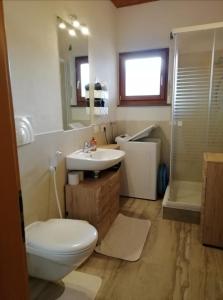 een badkamer met een toilet, een wastafel en een douche bij Apartment Sant'Andrea, Brixen - Plose Ski, Hike, Bike, Nature in SantʼAndrea in Monte
