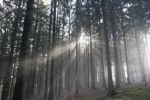 Příroda nedaleko apartmánu