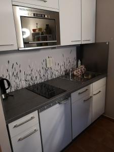 Kuchyň nebo kuchyňský kout v ubytování Apartment Michaela