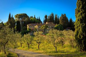 Foto dalla galleria di Le Filigare Winery & Accomodation in Chianti a San Donato in Poggio