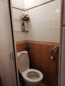 Baño pequeño con aseo en una cabina en Guest House Plavas, en Sozopol