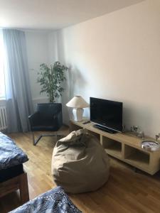 TV a/nebo společenská místnost v ubytování Micha's Ferienwohnung + 9 fotografií