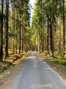 Príroda v okolí apartmánu