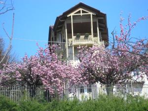 a house with pink flowering trees in front of it at Del Nobile Apartment in Turin