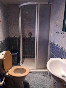 A bathroom at Penzion 108 - Herlíkovice