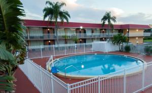 Πισίνα στο ή κοντά στο Express Inn & Suites - 5 Miles from St Petersburg Clearwater Airport