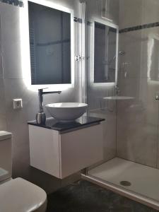 een badkamer met een wastafel, een douche en een toilet bij Apartment Sonnenhaus in Freudental