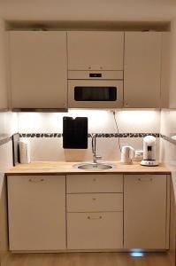 La cuisine est équipée d'un évier et d'un four micro-ondes. dans l'établissement Apartment Sonnenhaus, à Freudental