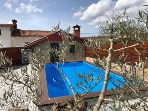 a blue swimming pool next to a house at Vila Friuli Karst in Komen