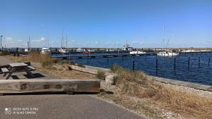 a picnic table sitting next to a marina with boats at Ferienwohnung Küstenkind in Wendtorf