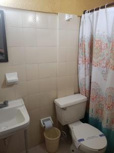 a bathroom with a toilet and a sink and a shower curtain at Hotel Del Valle in El Naranjo