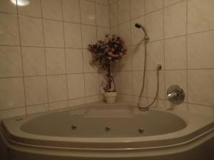 uma banheira com um vaso de plantas na casa de banho em Ferienhaus Börsengasse 1 em Duderstadt