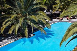 an overhead view of a palm tree next to a swimming pool at Meltemi Village Hotel in Perissa