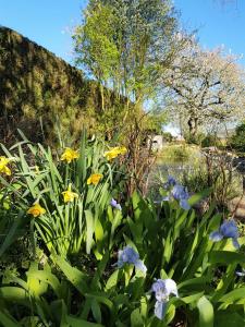 Châtillon-sur-IndreGite Anne-Marie Davaillon的相册照片