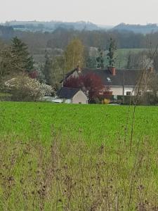 un campo de césped verde con una casa en el fondo en Chambres D'hôtes Anne-Marie, en Châtillon-sur-Indre