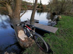 a bike parked next to a tree next to a boat at Haas Apartments in Brno