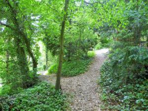 a path in the woods with a tree on it at Hotel Promenade in Schaffhausen