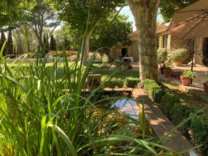 un jardín con un árbol y un pequeño estanque en La Melizanne, en Fuveau