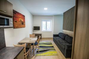 TV a/nebo společenská místnost v ubytování Apartmány pod Jeřábem, Šanov 67, Červená Voda