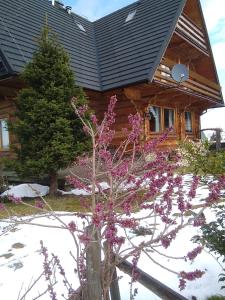 Budova, v ktorej sa ubytovanie bed & breakfast nachádza