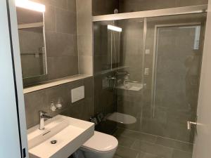 ein Badezimmer mit Toilette, Waschbecken und Dusche in der Unterkunft SWAS by Livingdowntown in Zürich
